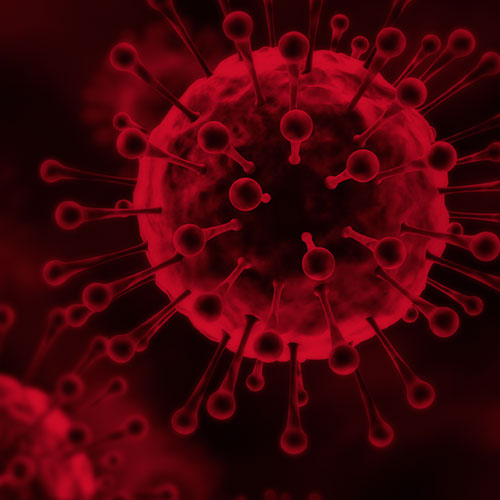 Viruses, Vaccines and Digital Life